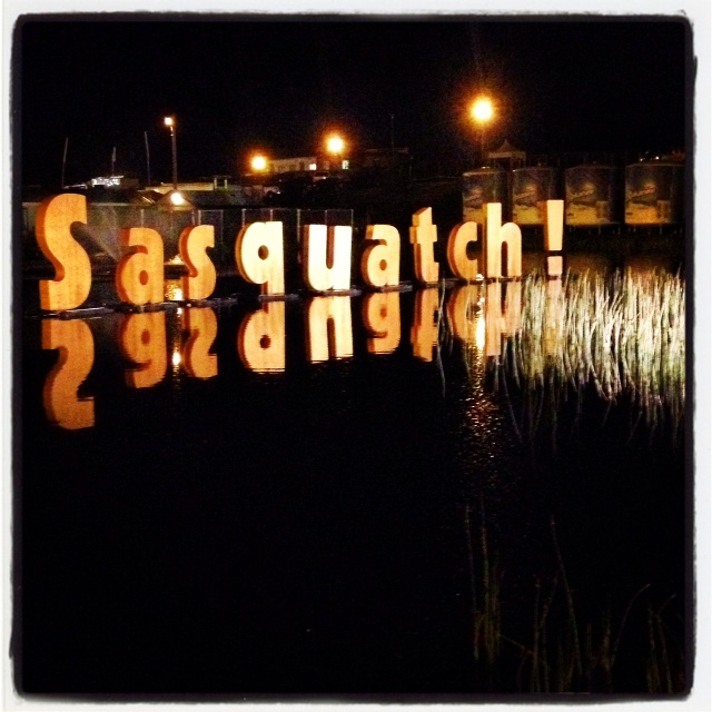 Sasquatch! 2013