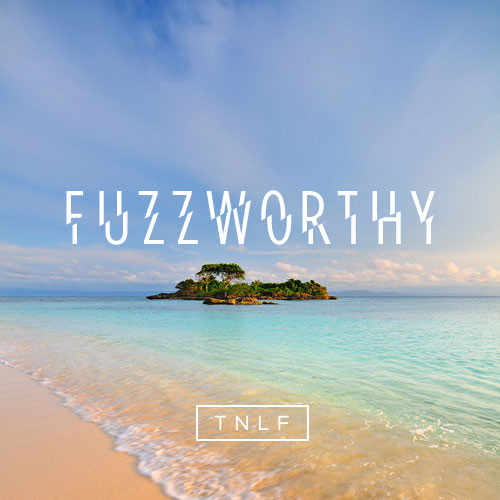Fuzzworthy2